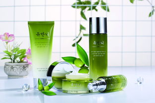 進口化妝品 配方合規(guī)、專業(yè)物流與清關(guān)流程全解析